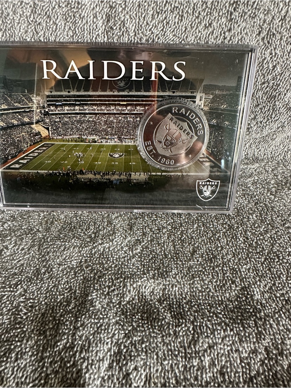 Raiders by Lee Silver Coin Stadium Display - Official NFL Home Accent